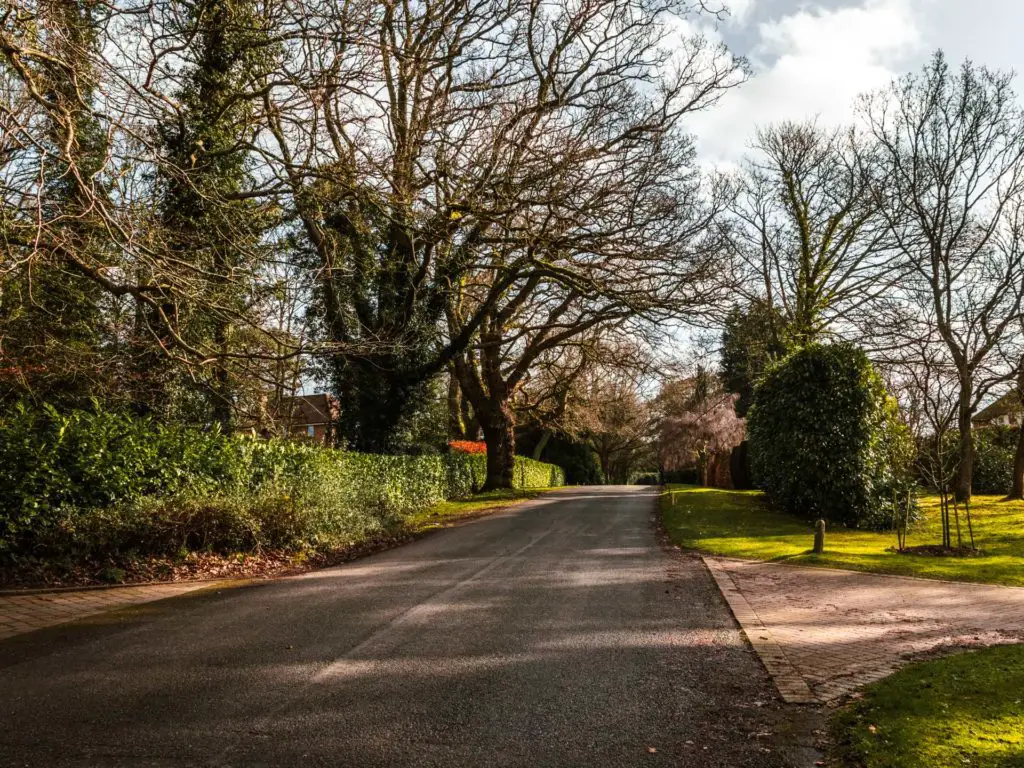 A road leading through a residential area. The front lawns are well manicured. There are trimmed bushes and a few big trees with leafless branches. 