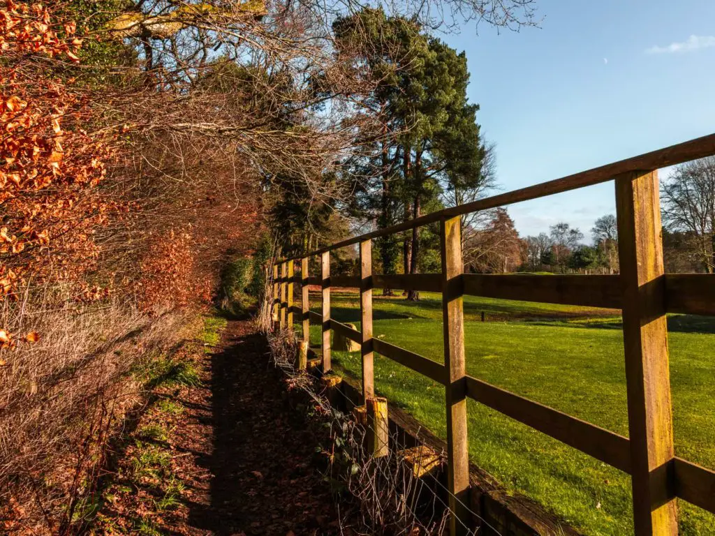 A small dirt trail with a hedge on the left and wooden fence on the right. The green of Farnham golf course can be seen through the fence.