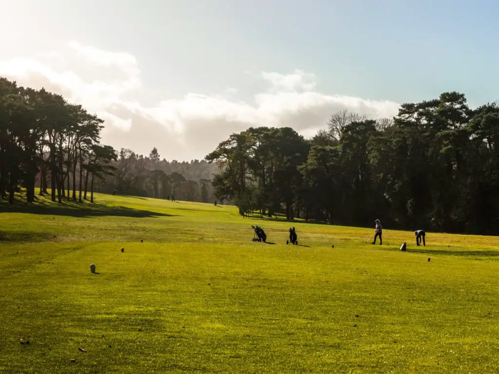 The bright green golf course of Farnham golf club, on the walk from Guildford. There are trees in the distance and a couple of golfers and their gold bags on the green.