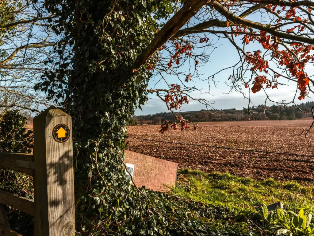 North Downs Way signage on a wooden post next to a tree covered in leaves. There is crop land to the right.