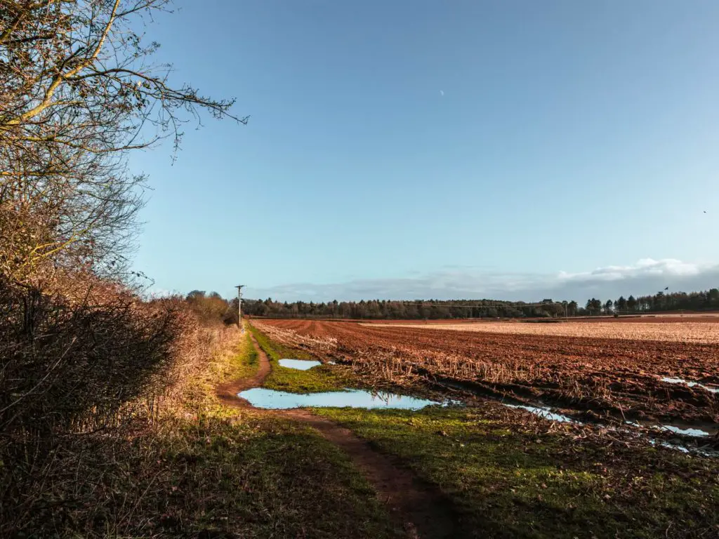 The trail running next to the crop land. The sky is bright blue.