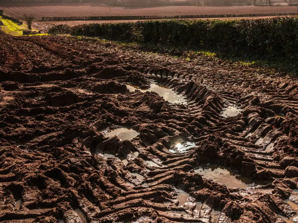 Tire tracks in the mud.