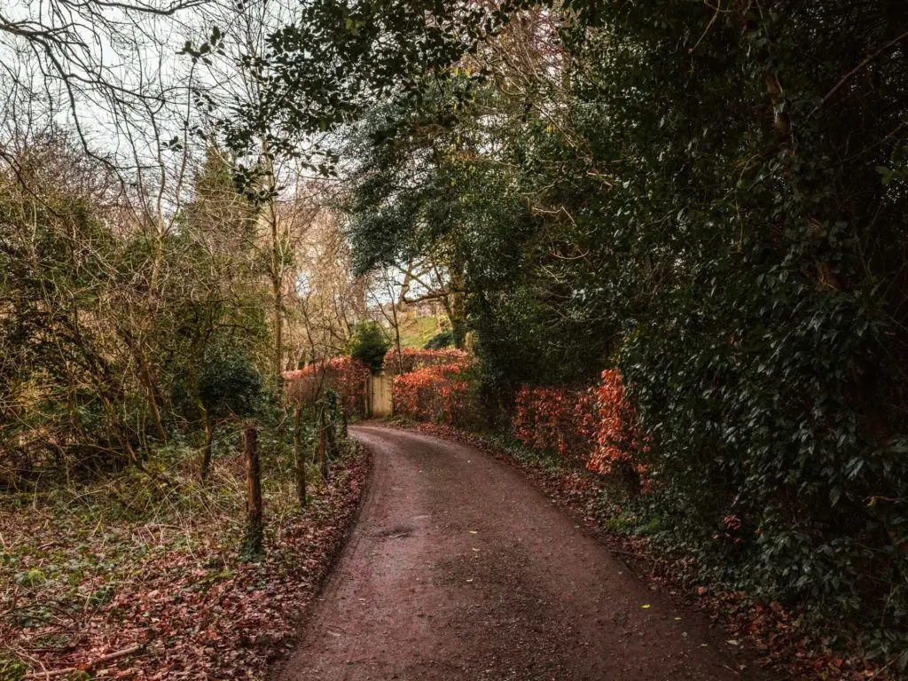 A trail with hedges and trees on the right side ant the start of the walk from Farnham to Guildord. 