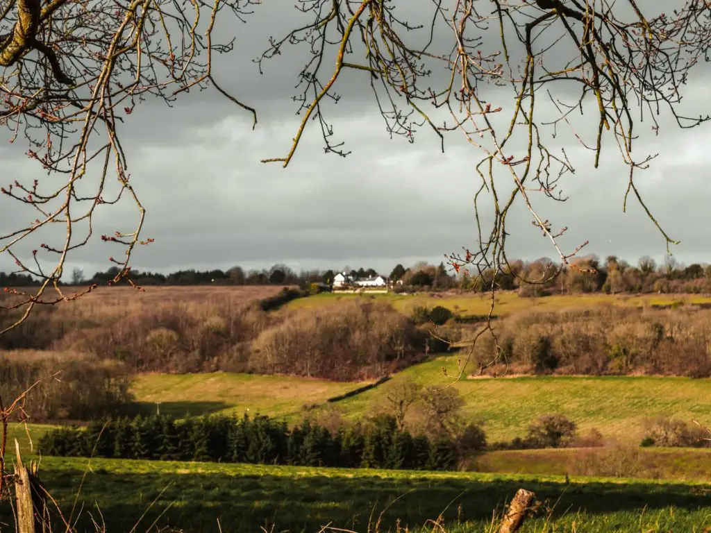 Looking across the fields with groups of trees, and a small white coloured house on the top of the hill in the distance. 