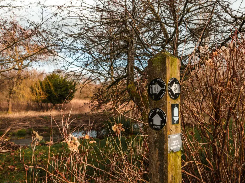 North Downs Way signage on a wood stump on the walk from Farnham to Guildford.