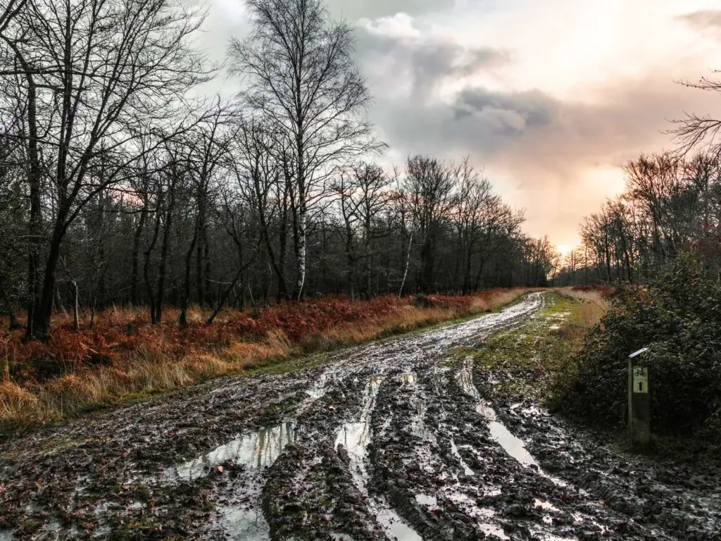 A muddy trail on the Brockenhurst Lyndhurst circular walk.