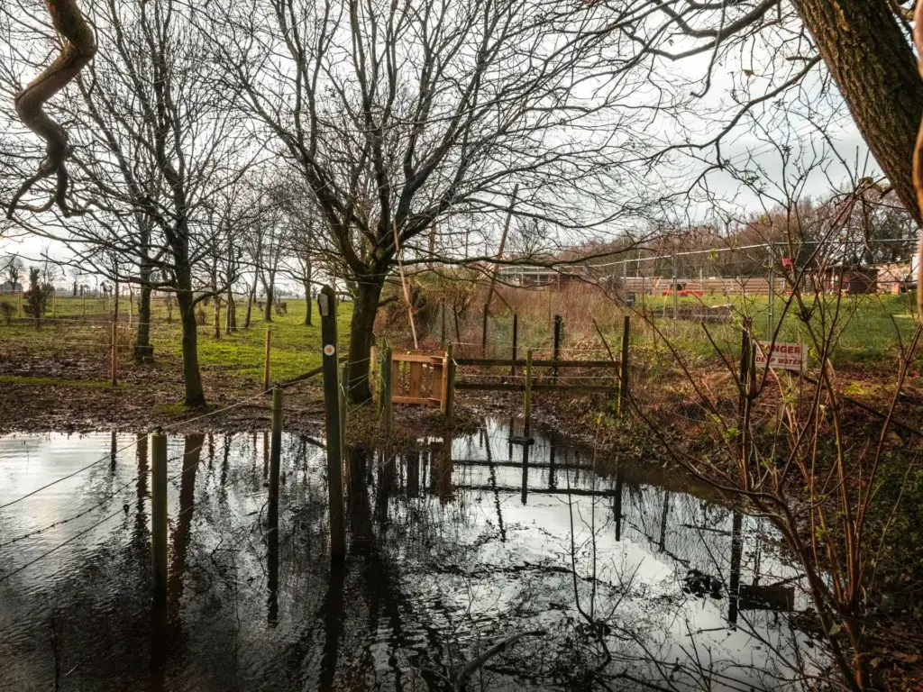 A giant puddle of water covering the trail on the walk from Brockenhurst to Lymington.