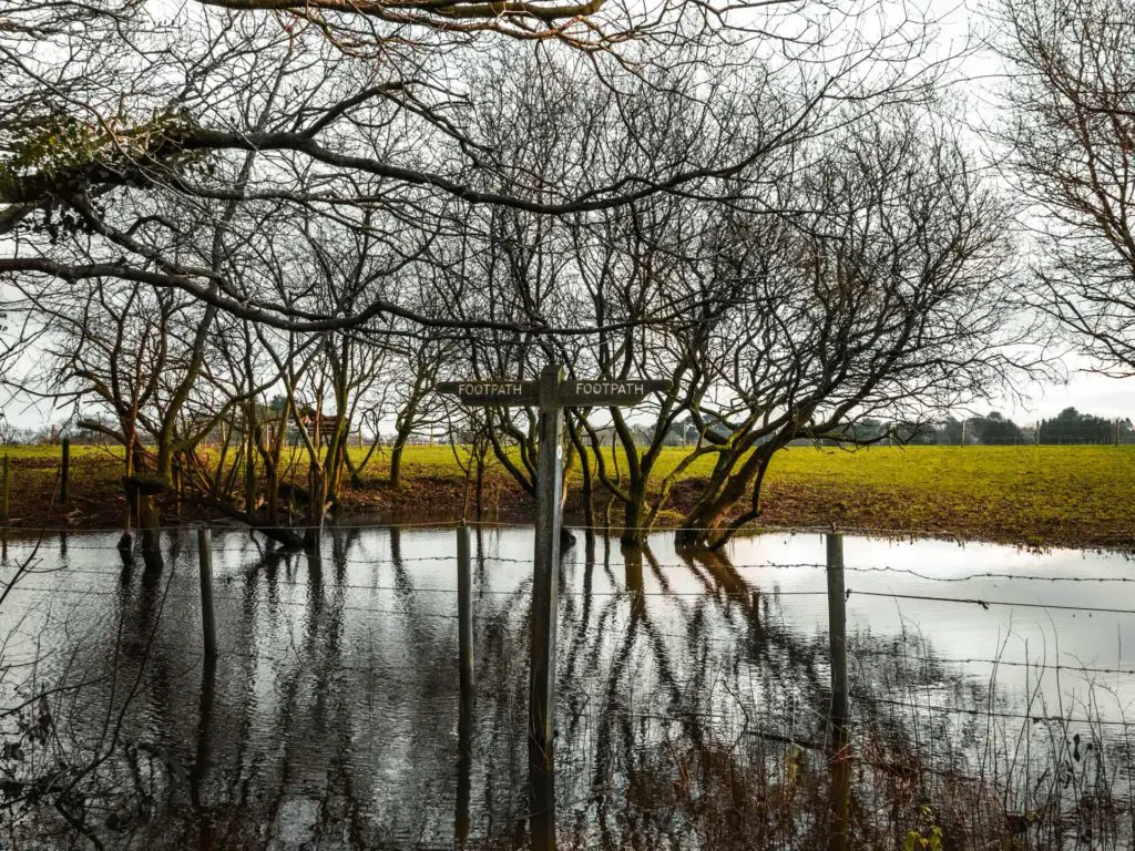 Flooding over the walking trail with the barbed wire fence running through it and signage coming out of the water.