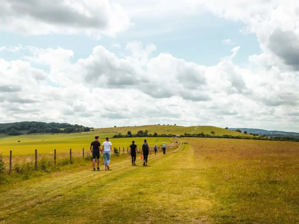 The grass trail section on the Ashridge Drovers circular walk. There are lots of people walking along it.