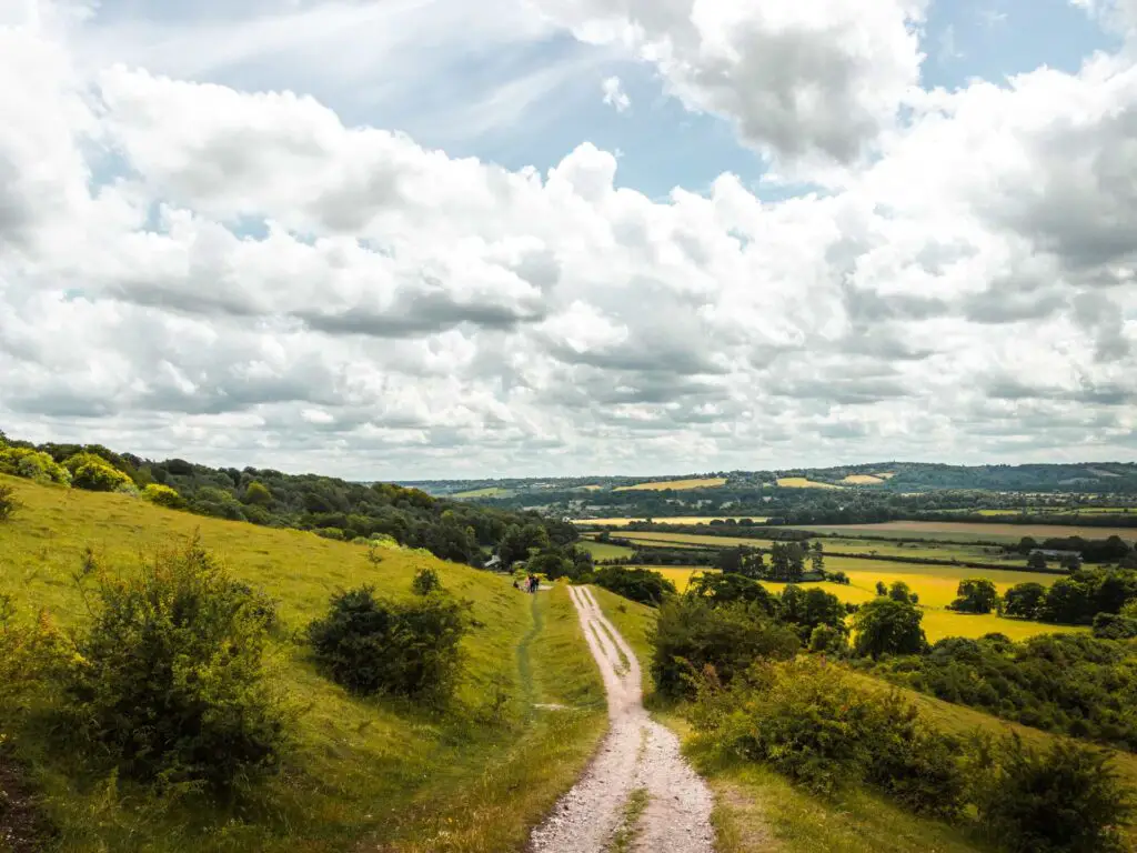 The Ashridge Drovers trail as it leads downhill. It is surrounded by green grass and some bushes scattered about. There is woodland in the distance. The sky is mostly white clouds with a bit of blue sky coming through.