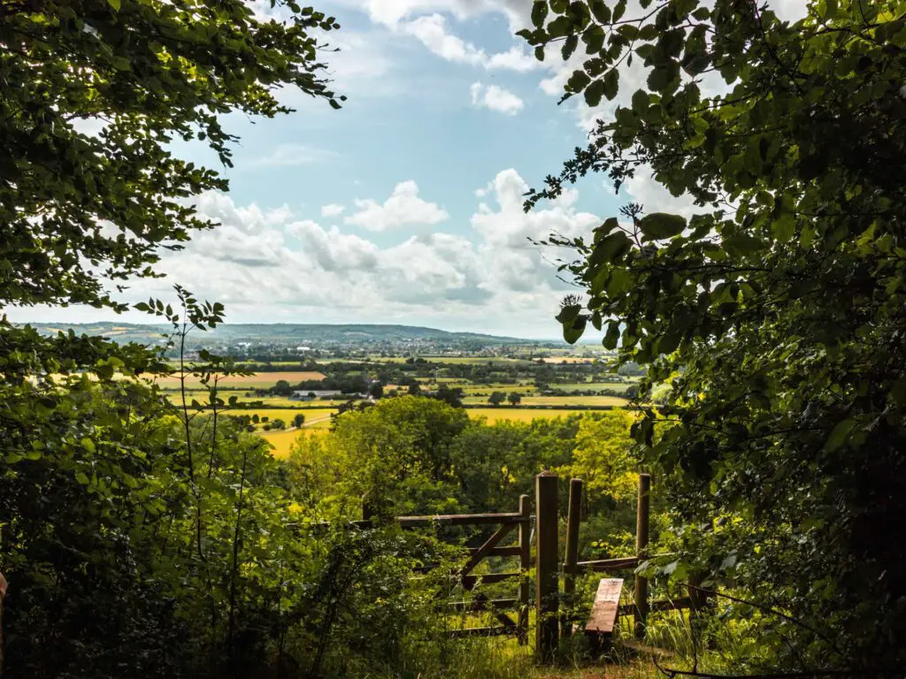 The green fields of the Chilterns in the distance, framed by the trees and bushes. The sky is blue with white fluffy clouds.