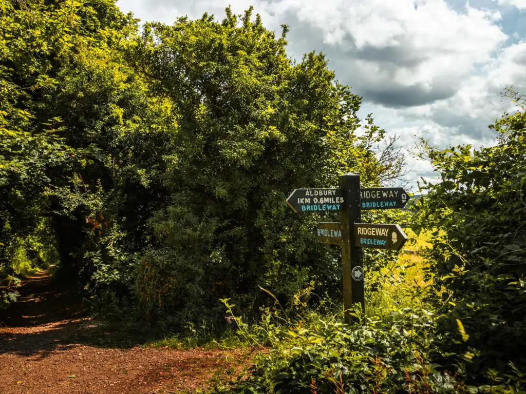 Signage along the Ashirdge Drovers circular walk. It is a dirt trail surrounded by green bushes.