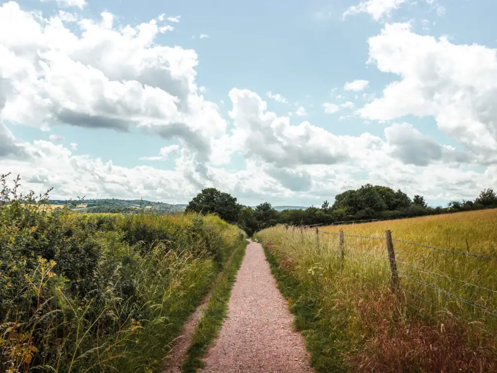 A long straight trail in the Chilterns with overgrown grass on either side, leading to some trees in the distance. The sky is blue with white fluffy clouds.