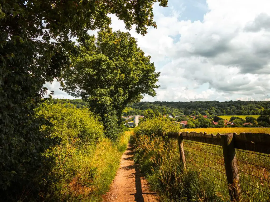 A narrow trail with a fence on the right and a green hedge and some trees on the left. The church is slightly visible in the distance.