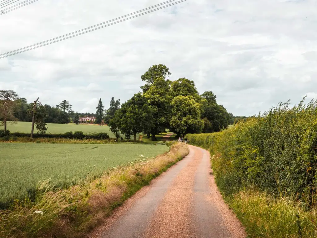 The trail on the Three Springs walk in Offley, with a green hedge on the right, and green field on the left. There is a tree tunnel in the distance. 