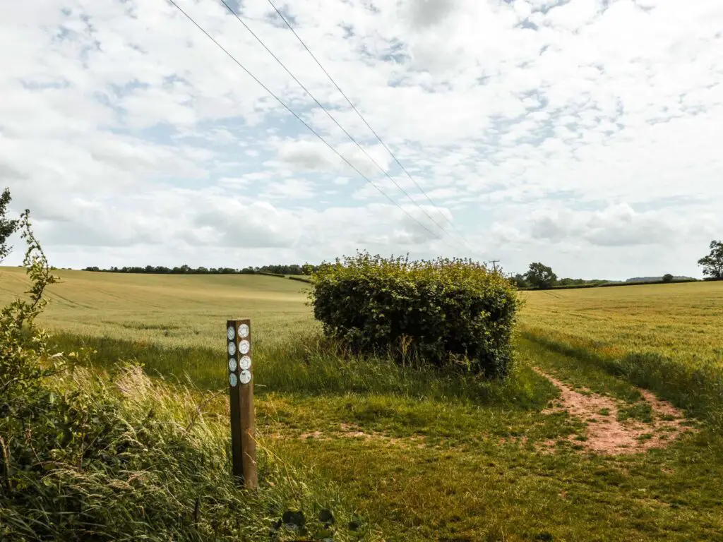 Green fields and a stump signpost.