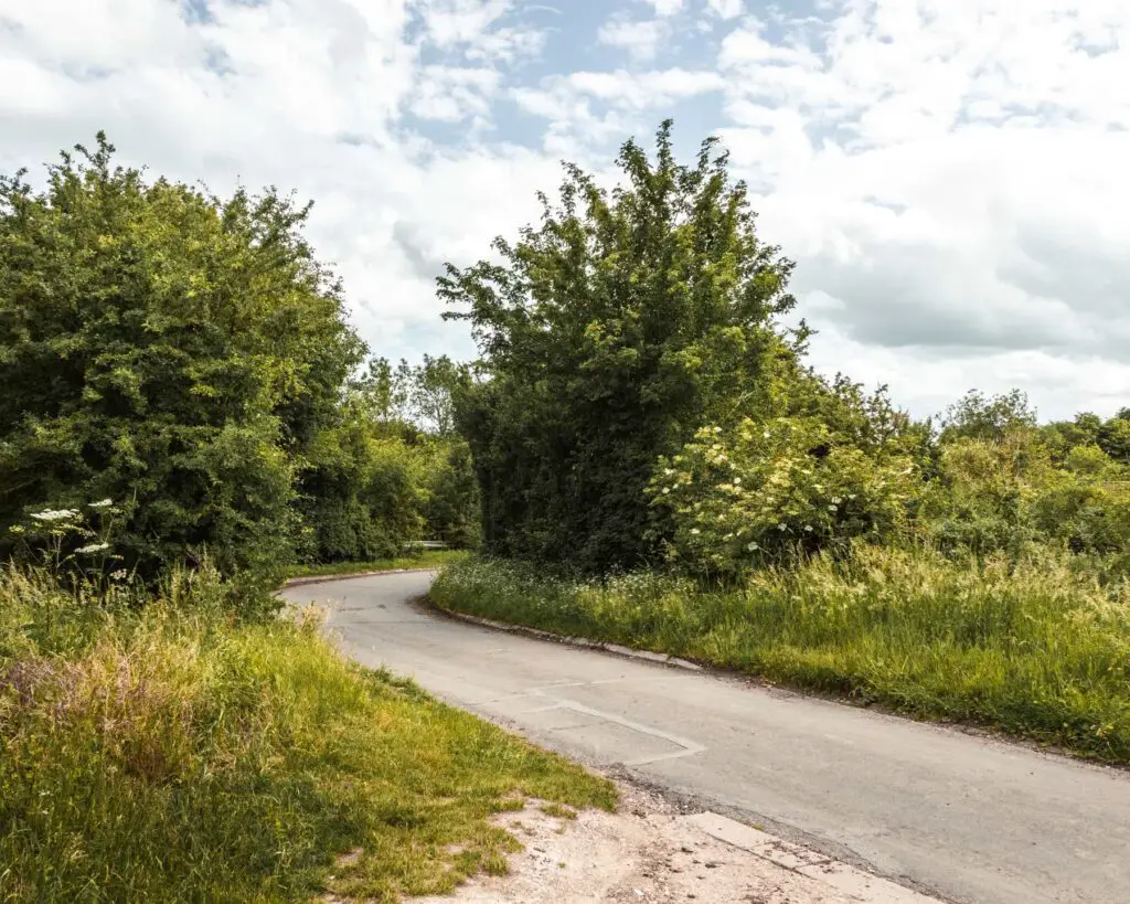 A country lane road with green grass and shrubbery on either side of it. There are white clouds in the sky with a bit of blue poking through.