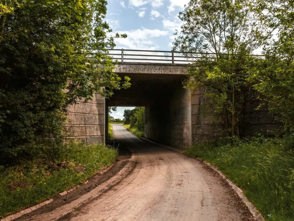 The country road as it runs under a bridge. There is green grass and trees surrounding it.