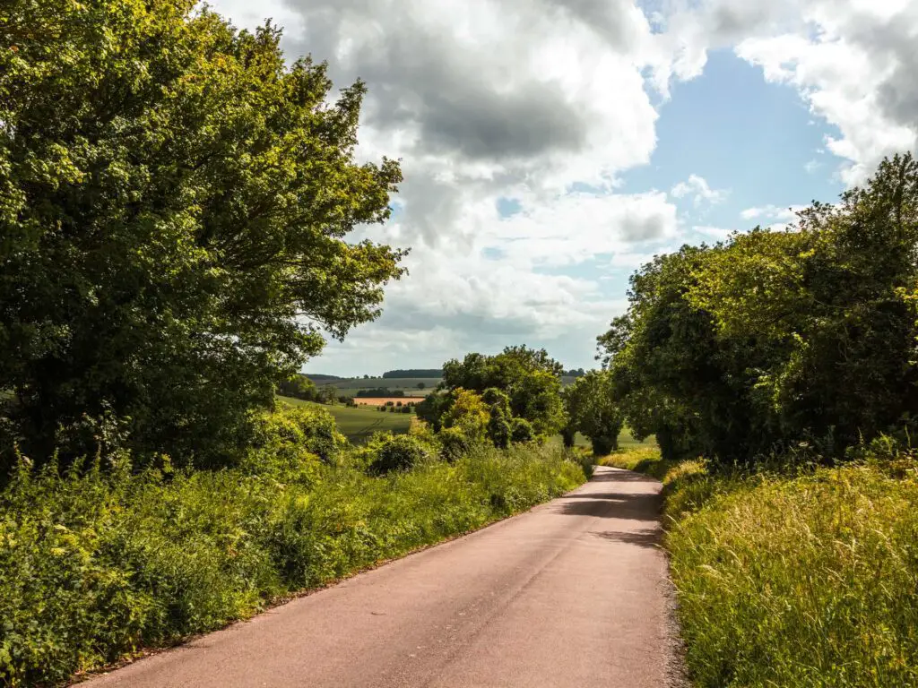 A country lane surrounded by green bushes and trees along the Offley Three Springs walk.