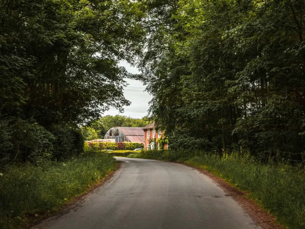 A road running under tree cover, with the opening at the end with part of a house visible.