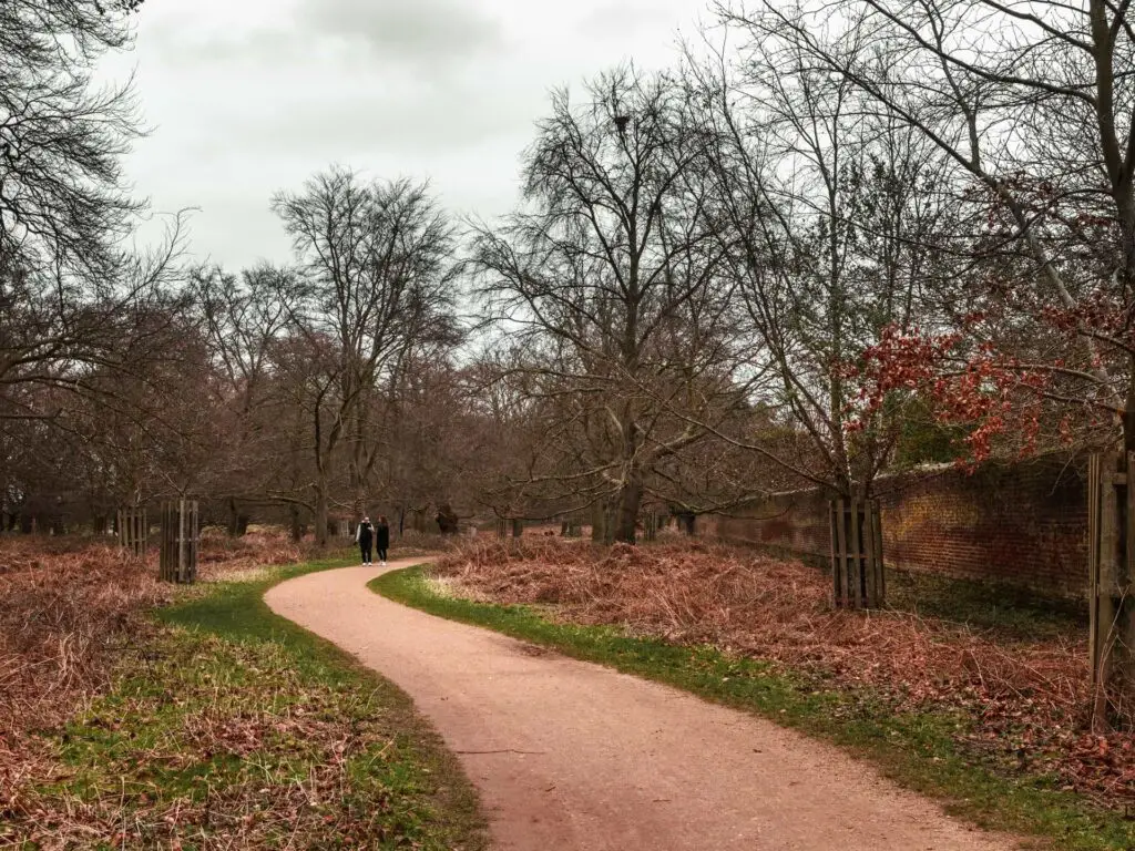 The Tamsin trail with walkers on it as it curves around, with a wall to the right.