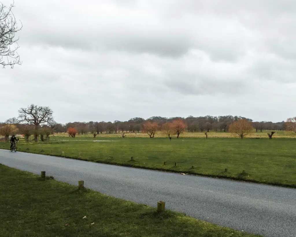 A road with an open green field on the other side and trees in the distance. The is a cyclist on the road.