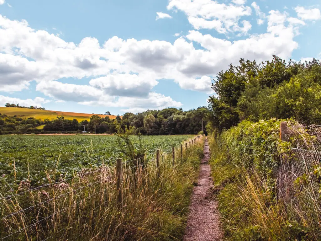 A small dirt trail at the start of the walk from Hassocks to Devils Dyke. The South Downs hills are visible in the distance.