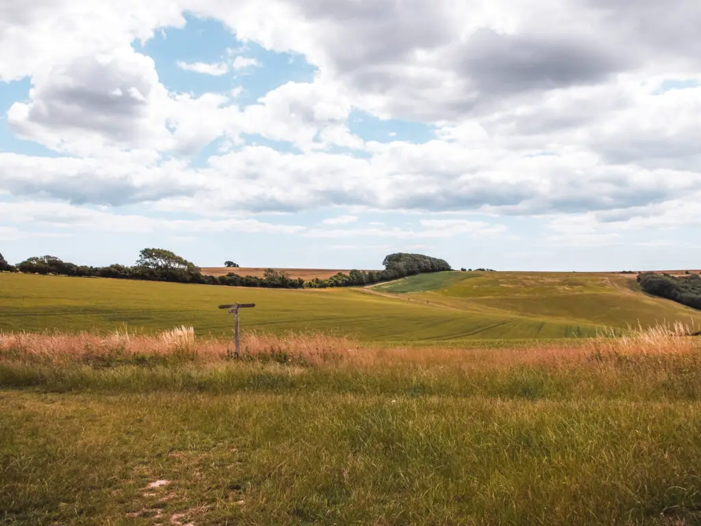 Green fields with a signpost in the South Downs.