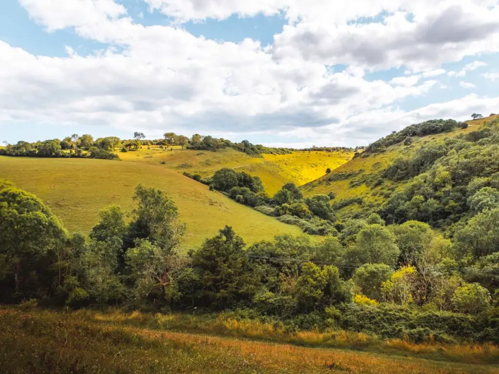 A view of Devils Dyke in the South Downs with lots of trees.