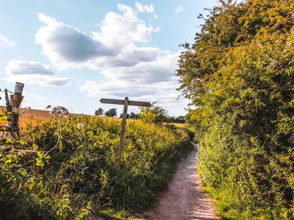 A circular walk from Hassocks to Devils Dyke - She walks in England