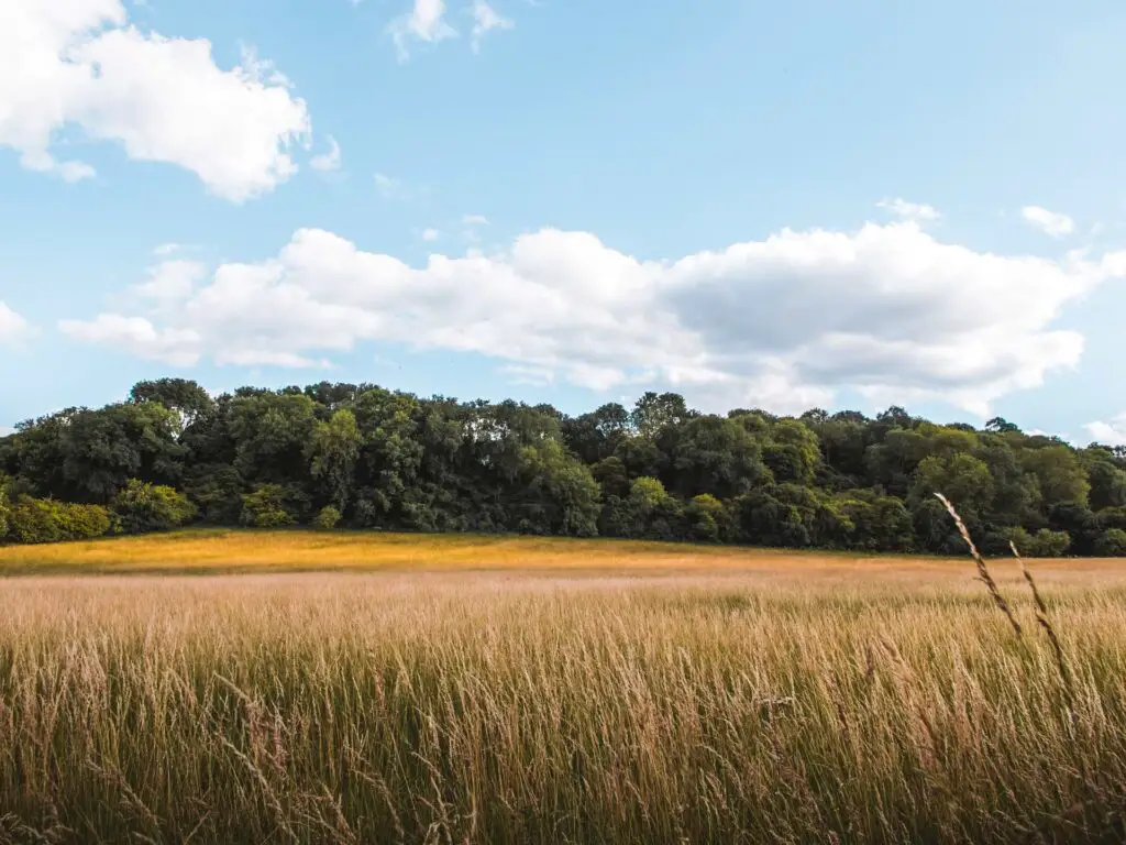 A circular walk from Hassocks to Devils Dyke - She walks in England