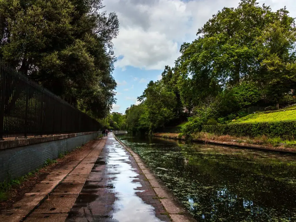 The canal and the path running along the left side of it. The path is wet. The right side of the canal has a grassy back and trees.