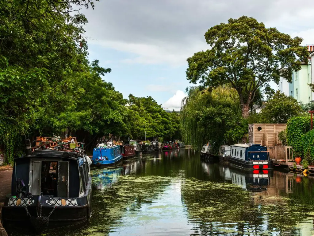 Regents Canal with boats lining the side of it and lots of overhanging trees.