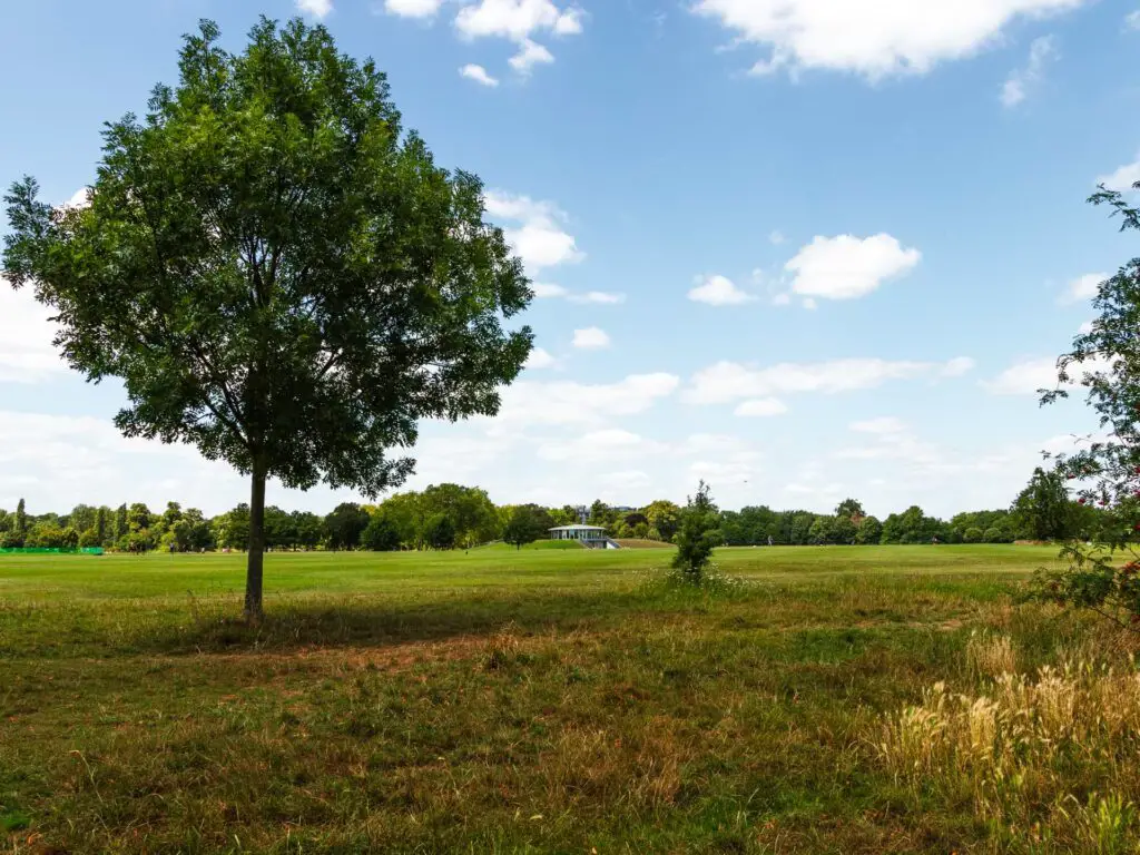 A green field in Regents park.