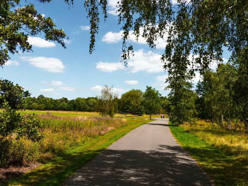 A path running through regents park.