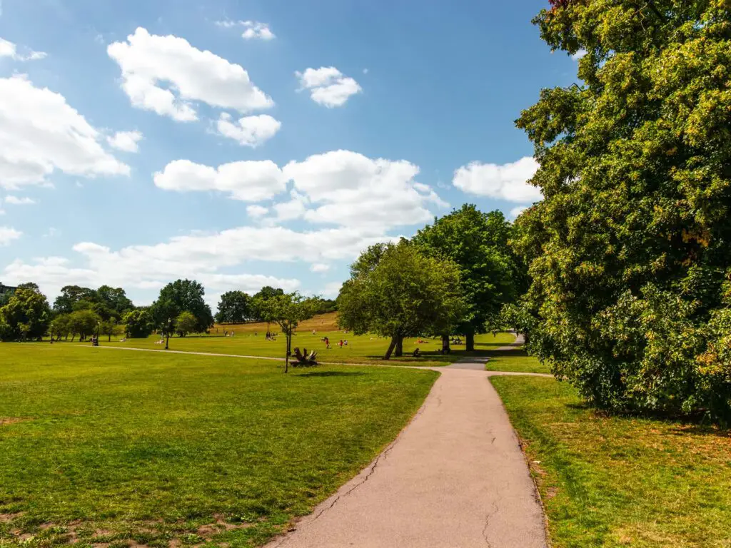 A path in Primrose Hill surrounded by grass and some trees.