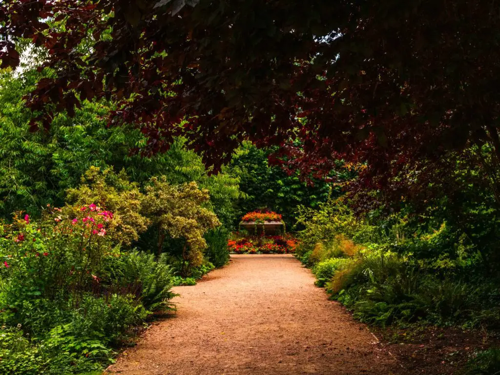 A gravel path with shrubbery on either side and red leaves on an overhanging tree. There is an ornament at the end of the path with red flowers.