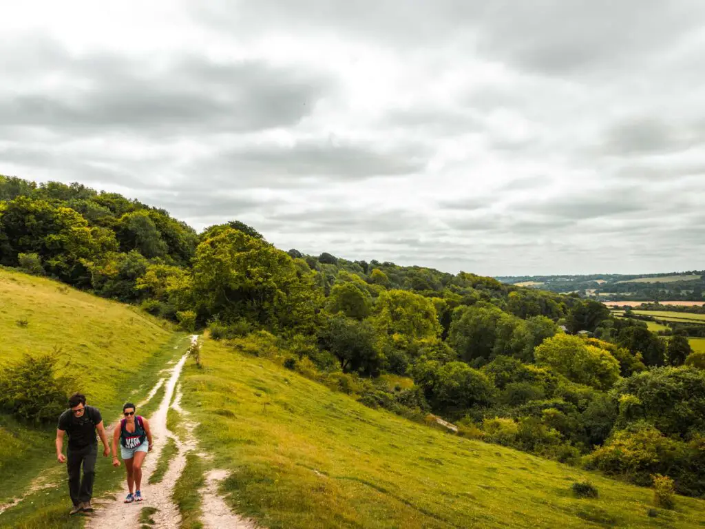 A small trail leading towards green woodland on the circular Tring walk. The sky is grey. There are two people walking on the trail.