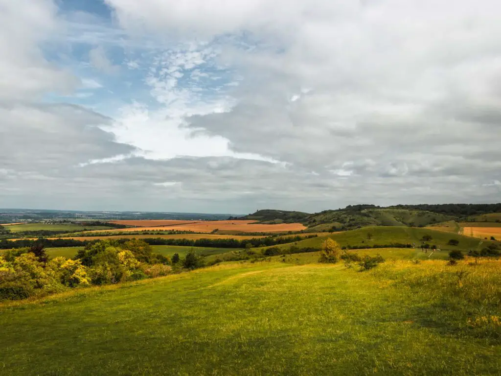 The rolling hills of the Chilterns in shades of green and orange, on the circular walk form Tring.
