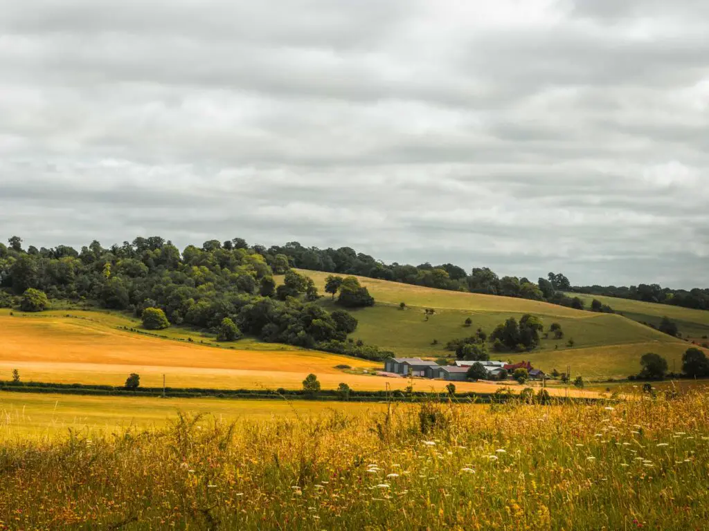 The green and yellow hills of the Chilterns with a farm house in the distance.