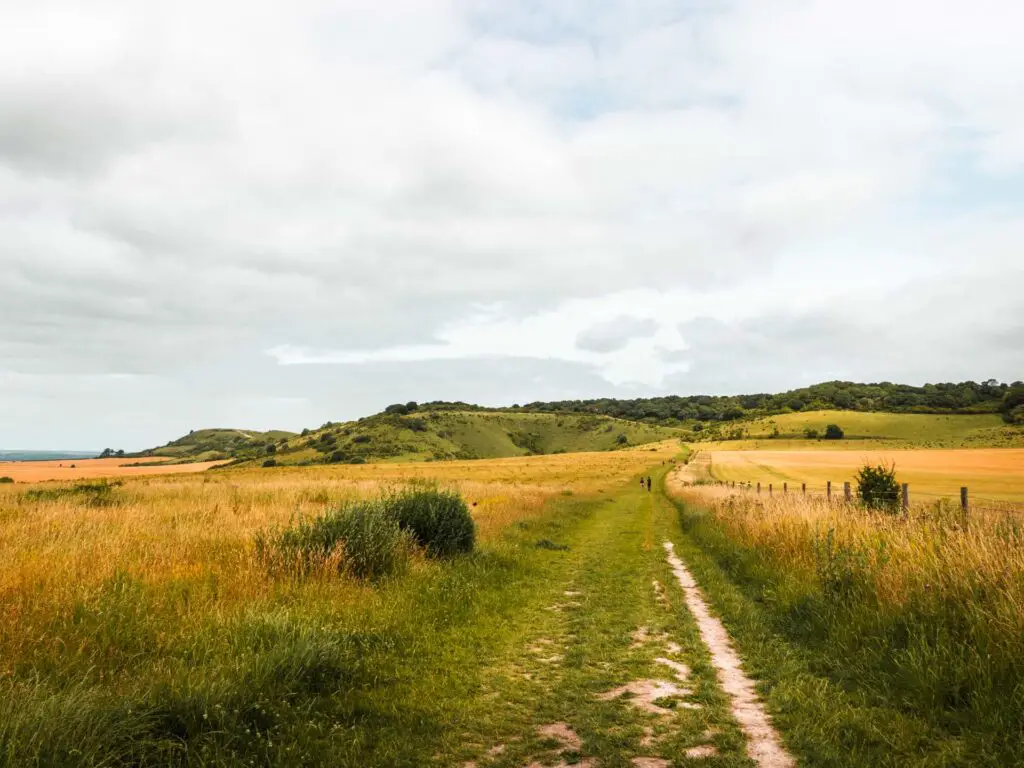 The trail running through the green grass and the green hills up ahead.