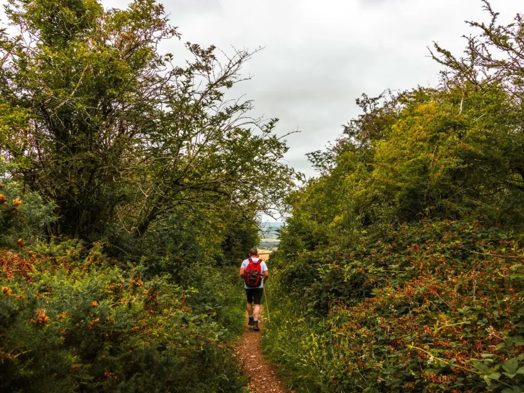 A narrow dirt trail leading through bushes and trees.