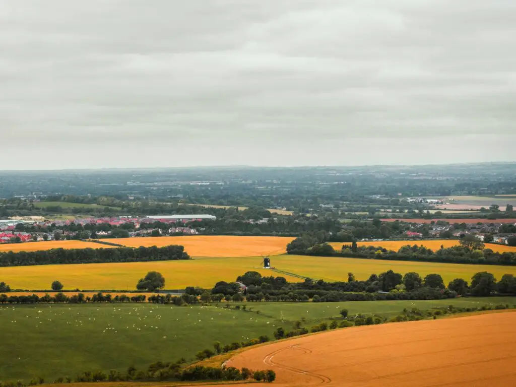 A view of a black windmill surrounded by green and orange fields of the Chilterns, with trees dotted about.