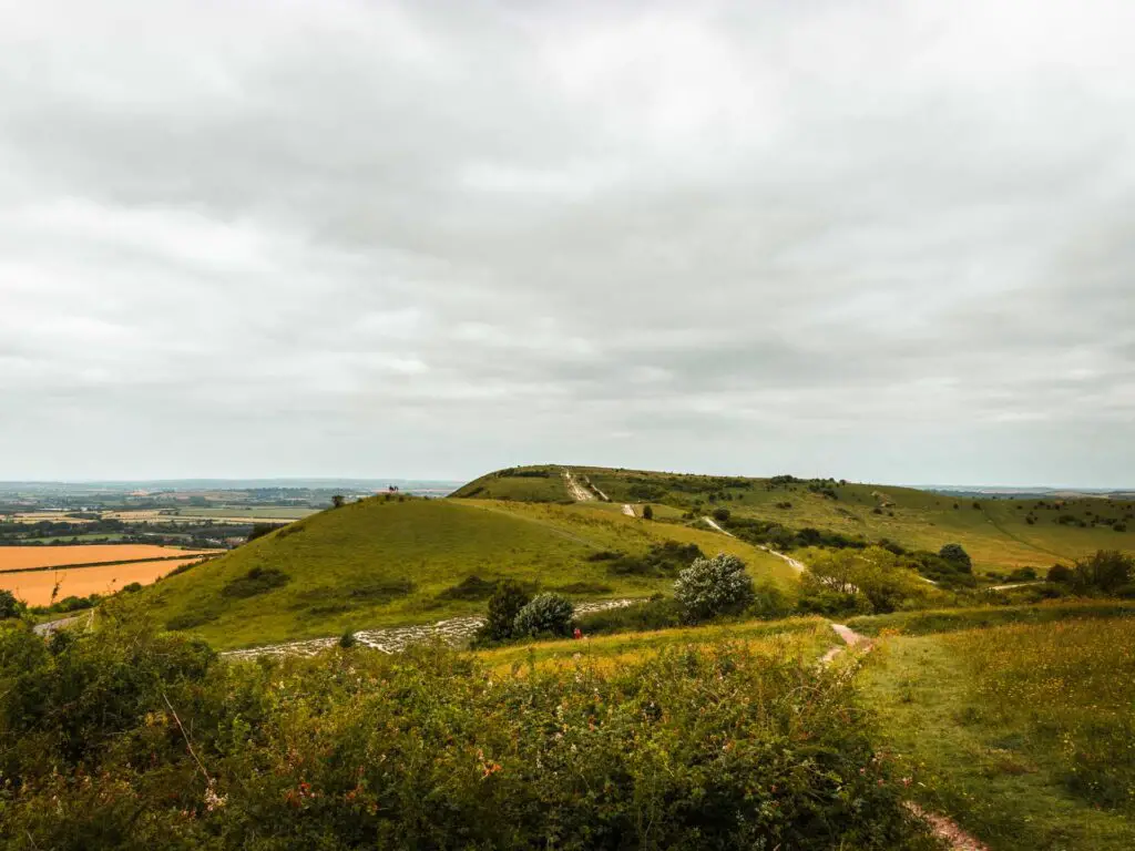 A view of Ivinghoe Beacon up ahead on the circular walk from Tring.