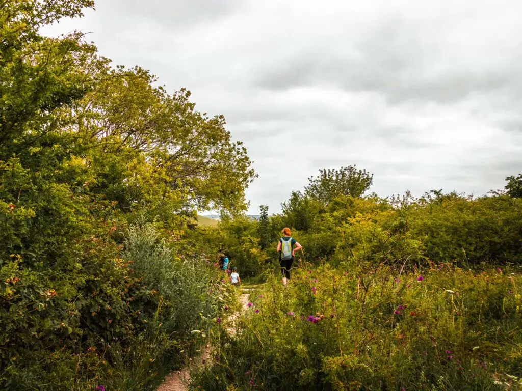 A trail leading through green bushes with a few purple flowers. There are a few people cup ahead walking along the trail.