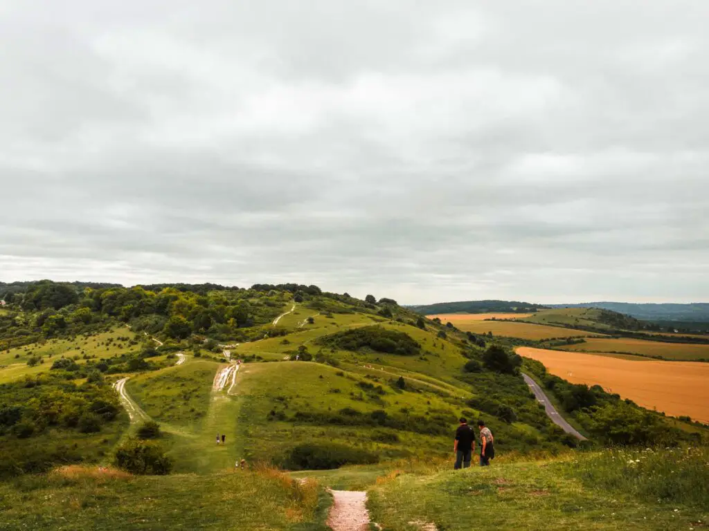 The rolling hills of the chilterns in shades of green and orange on the circular Tring walk. There are two people walking on the trail.