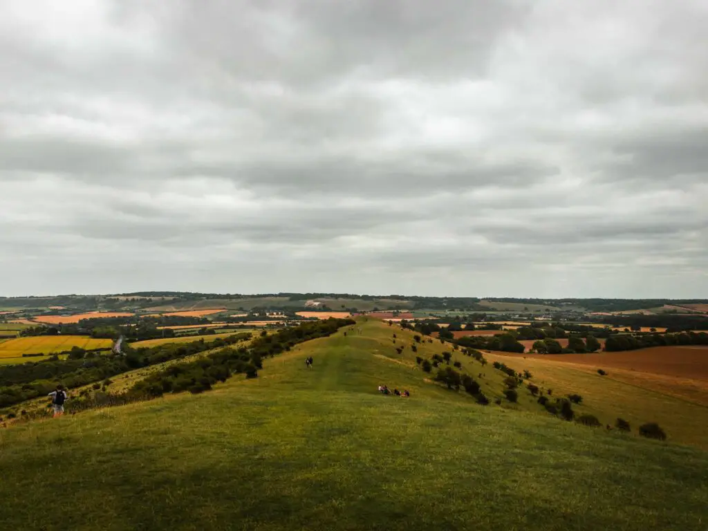 Walking along Ivinghoe Beacon Ridgway with views all around of the fields in shades of green, orange and yellow. It is an overcast day.