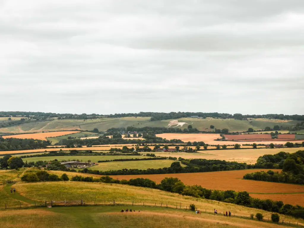 A view of the Whipsnade White Lion on the walk along Ivinghoe Beacon Ridgeway.