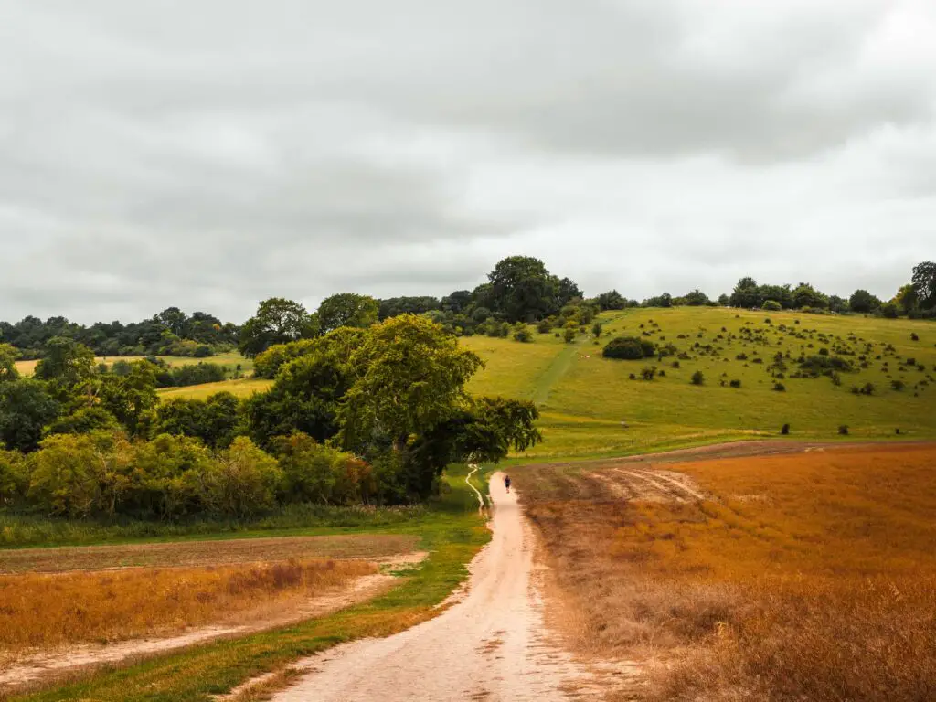 A white trail leading in-between the crop fields with a big green hill up ahead in the Chilterns.