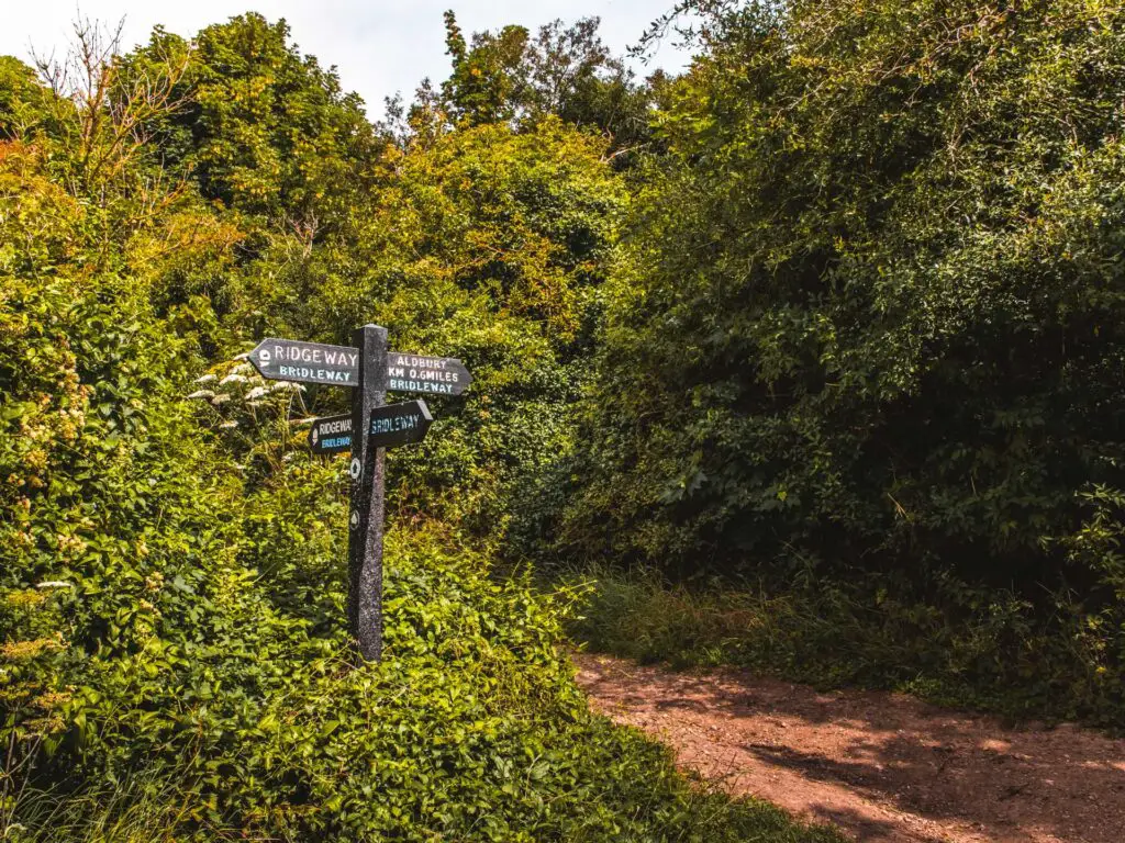 Signage nestled in the bushes on the circular walk from Tring to Ivinghoe Beacon.